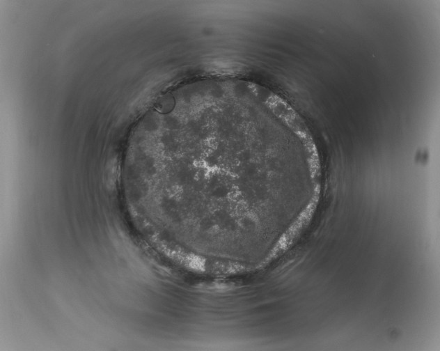 X0000112900647200909181937