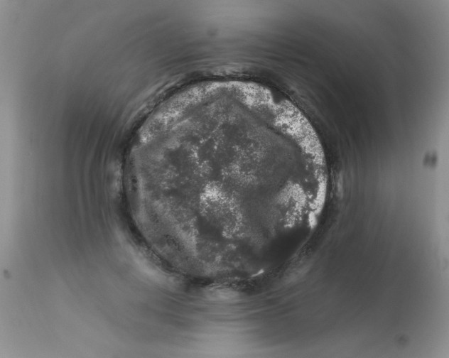 X0000112900648200909181937