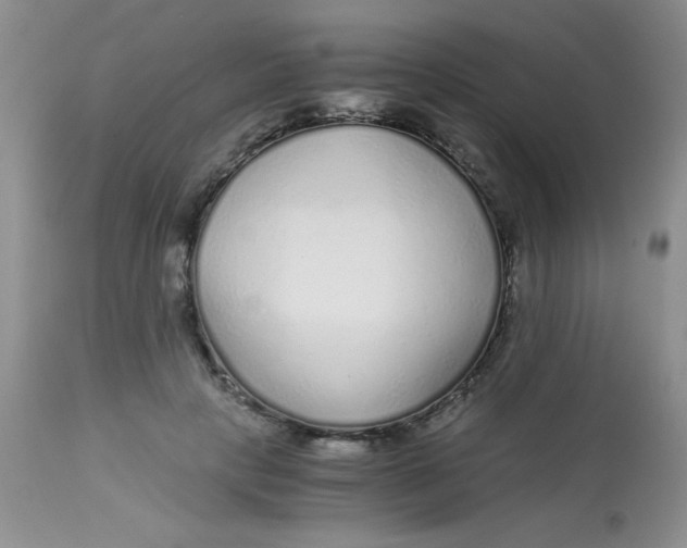 X0000112900649200909181937