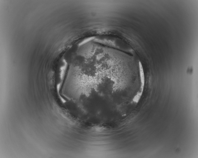 X0000112900650200909181937
