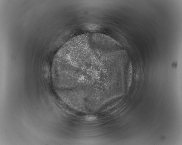 X0000112900651200909181937