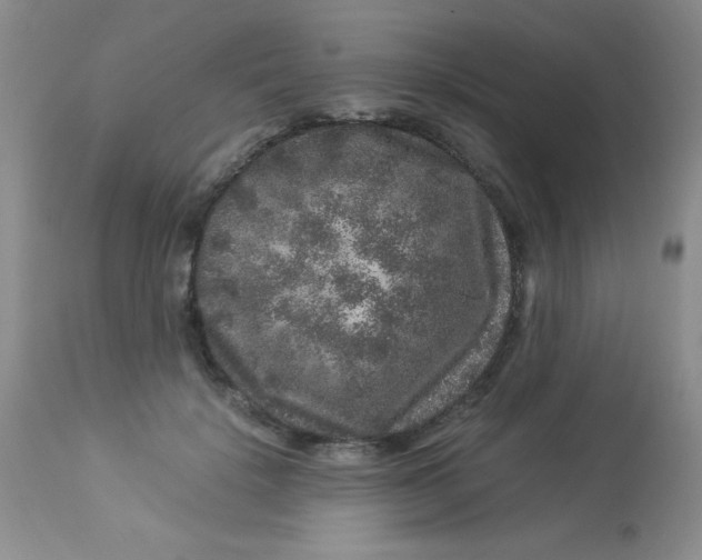 X0000112900652200909181937