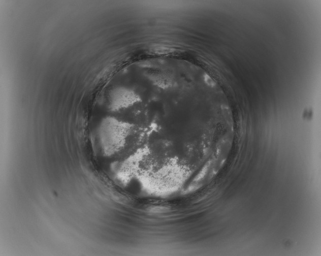 X0000112900653200909181937