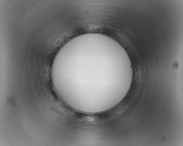 X0000112900654200909181937