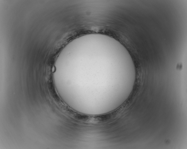 X0000112900656200909181937