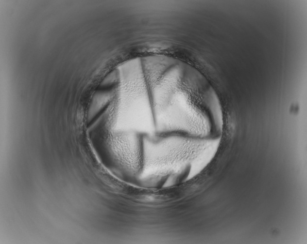 X0000112900657200909181937