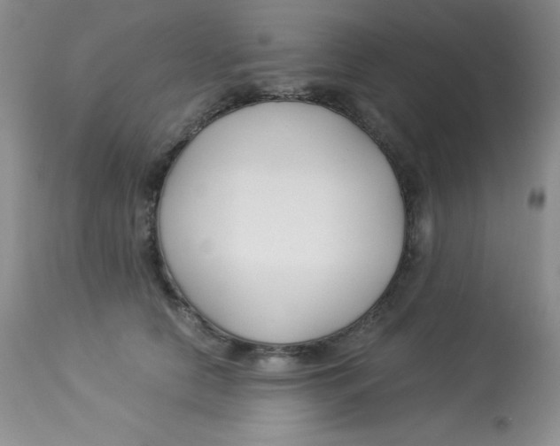 X0000112900658200909181937