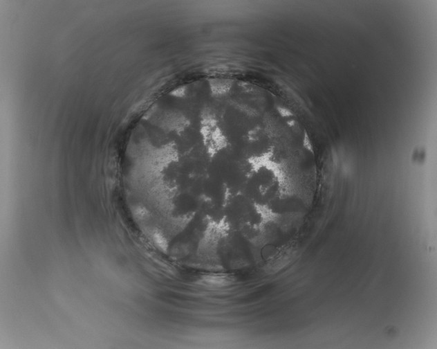 X0000112900659200909181937