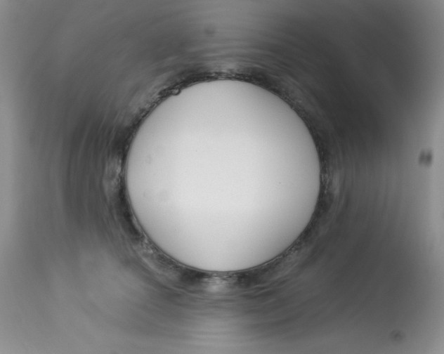 X0000112900660200909181937