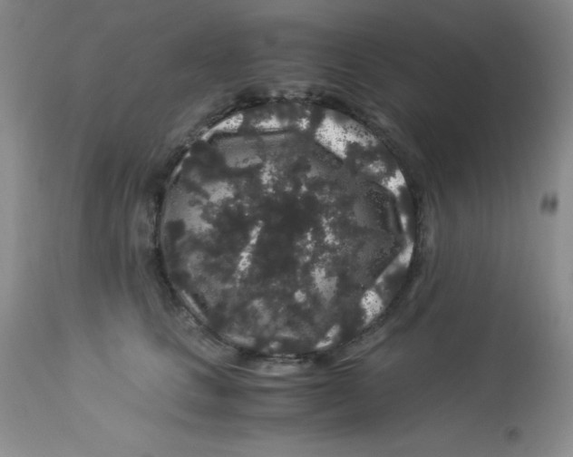 X0000112900661200909181937
