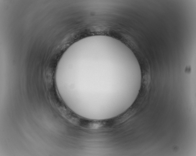 X0000112900662200909181937