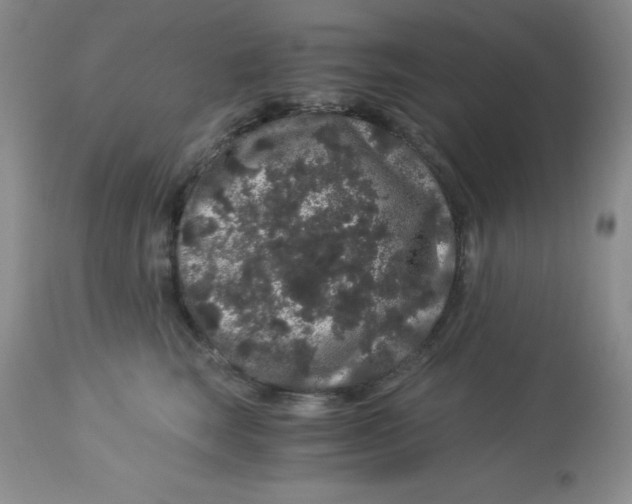 X0000112900663200909181937