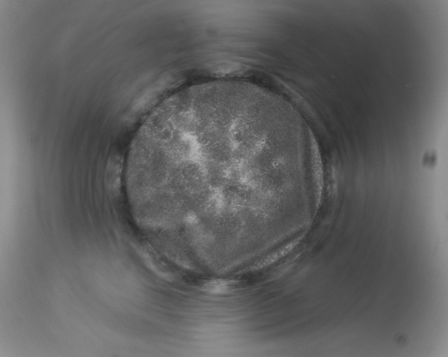 X0000112900664200909181937