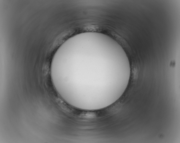 X0000112900665200909181937