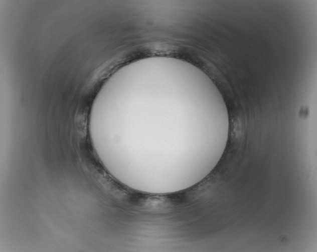 X0000112900666200909181937