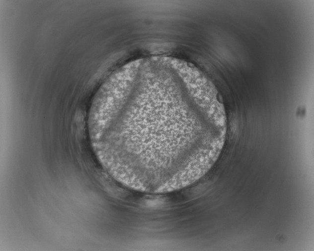 X0000112900667200909181937