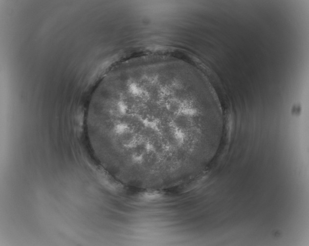 X0000112900668200909181937