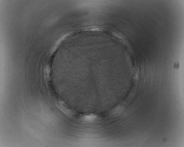 X0000112900669200909181937