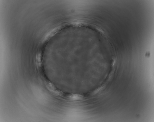 X0000112900670200909181937