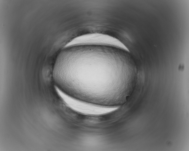 X0000112900671200909181937