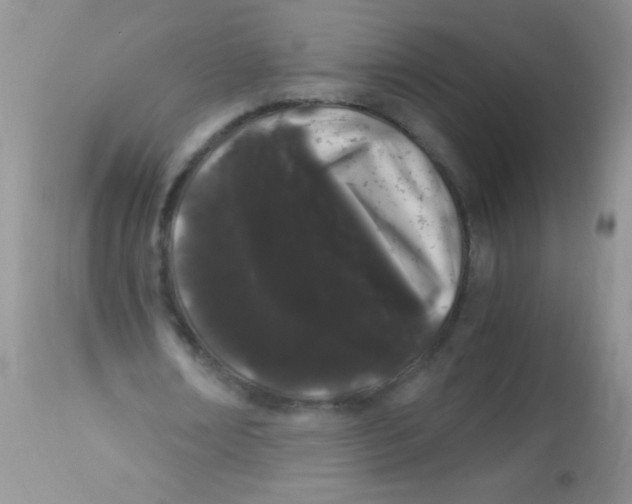 X0000112900674200909181936