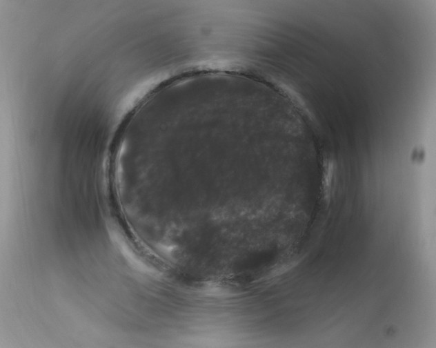 X0000112900678200909181936
