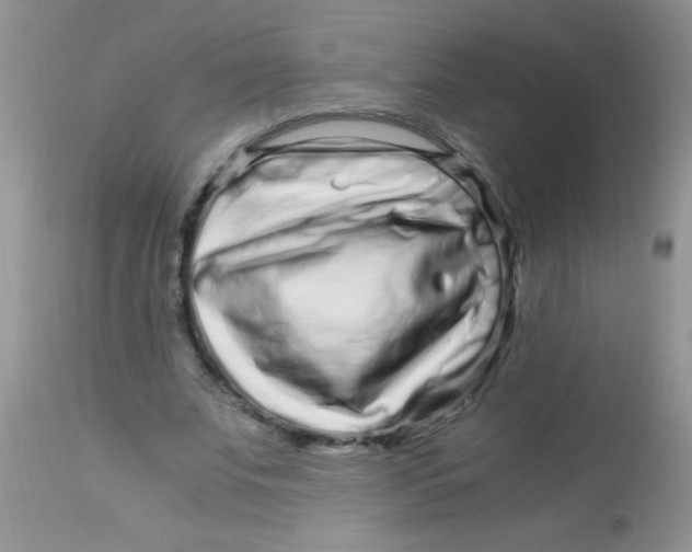 X0000112900679200909181936