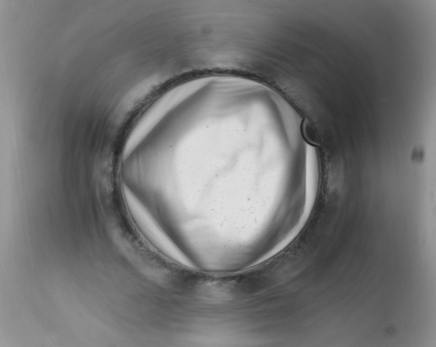 X0000112900680200909181936