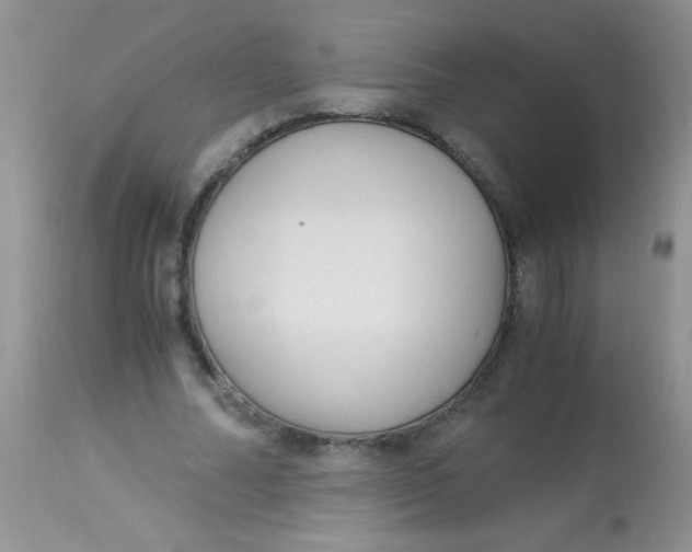 X0000112900682200909181936