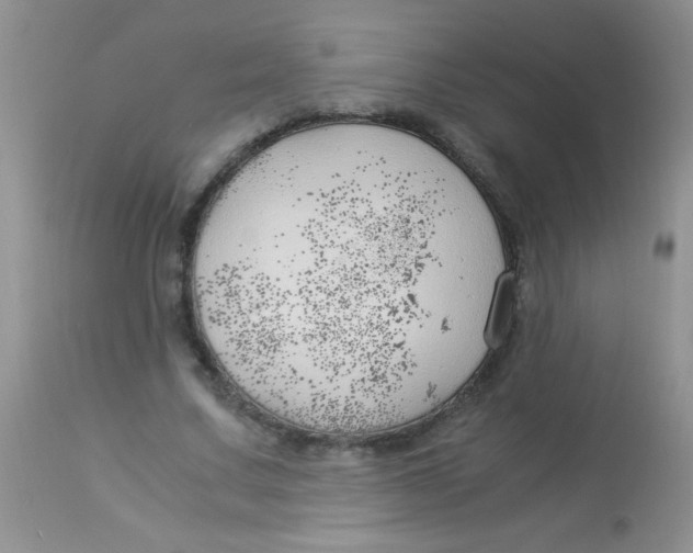 X0000112900683200909181936