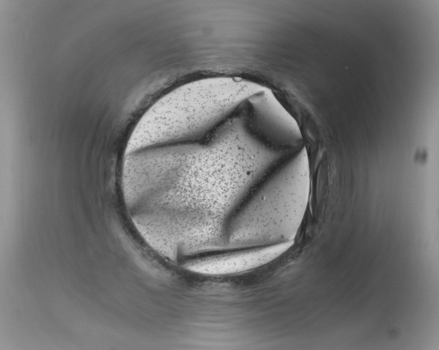 X0000112900685200909181936