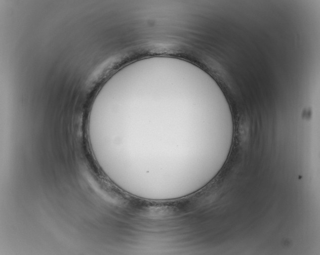 X0000112900686200909181936