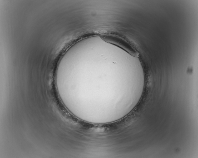X0000112900687200909181936