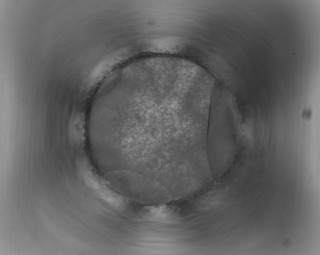 X0000112900688200909181936