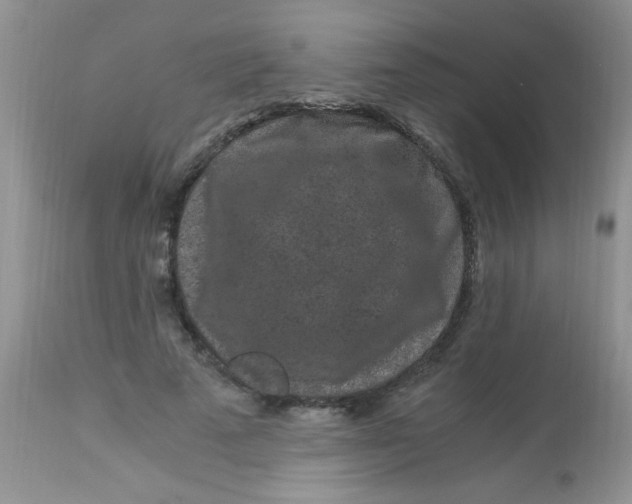 X0000112900689200909181936