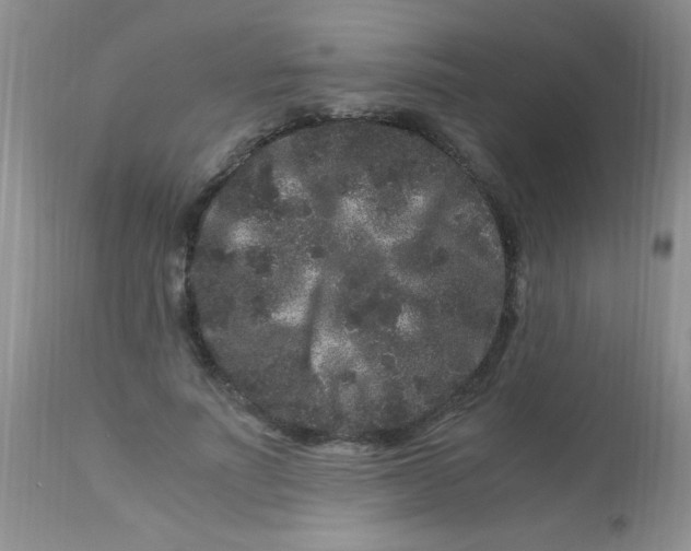 X0000112900691200909181936