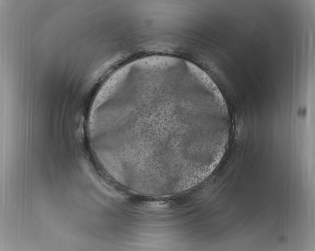 X0000112900692200909181936