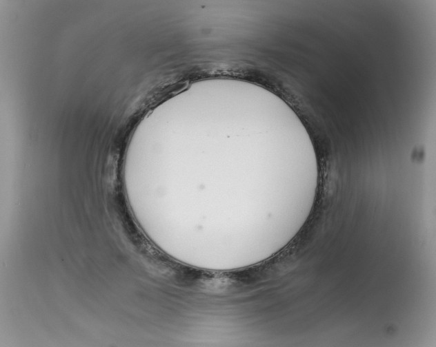 X0000112900695200909181936