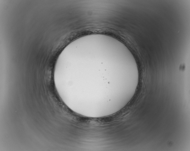 X0000112900697200909181936