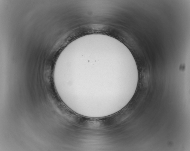 X0000112900698200909181936