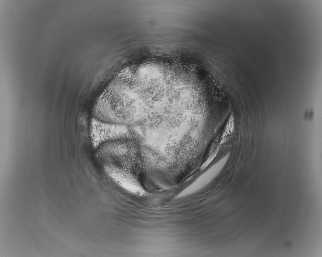 X0000112900699200909181936