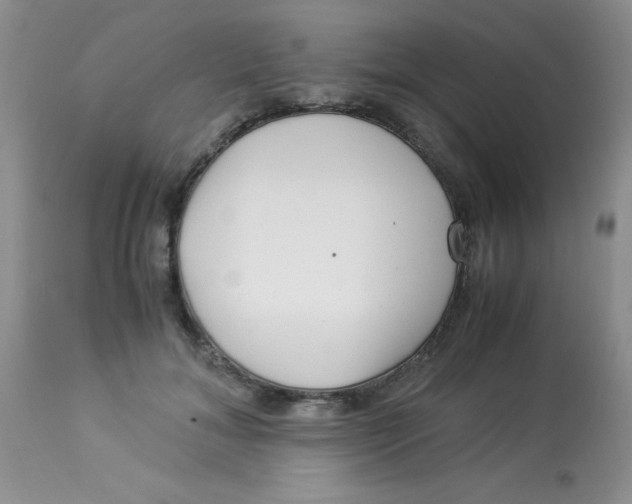 X0000112900700200909181936