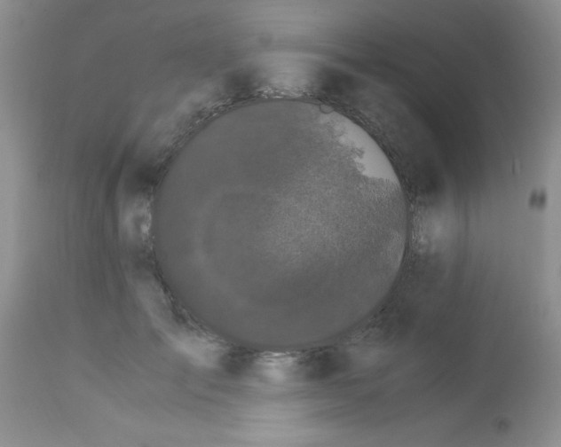 X0000112900701200909181936