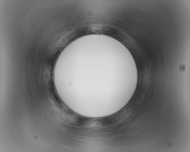 X0000112900702200909181936