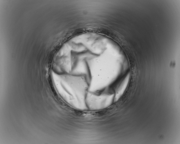 X0000112900703200909181936