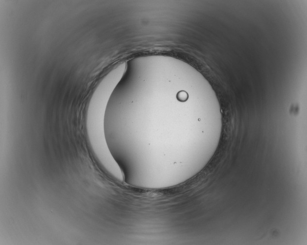 X0000112900704200909181936