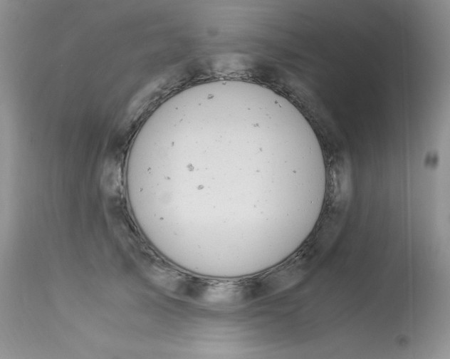 X0000112900705200909181936