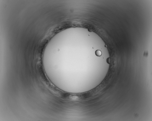 X0000112900706200909181936
