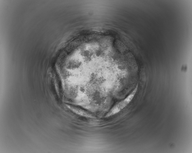 X0000112900707200909181936