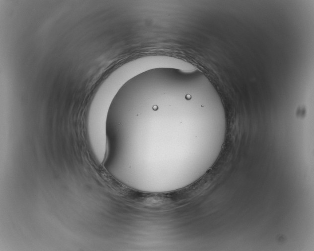 X0000112900708200909181936